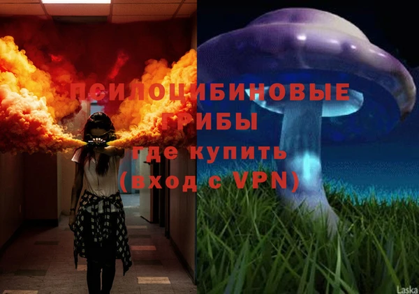 спиды Баксан